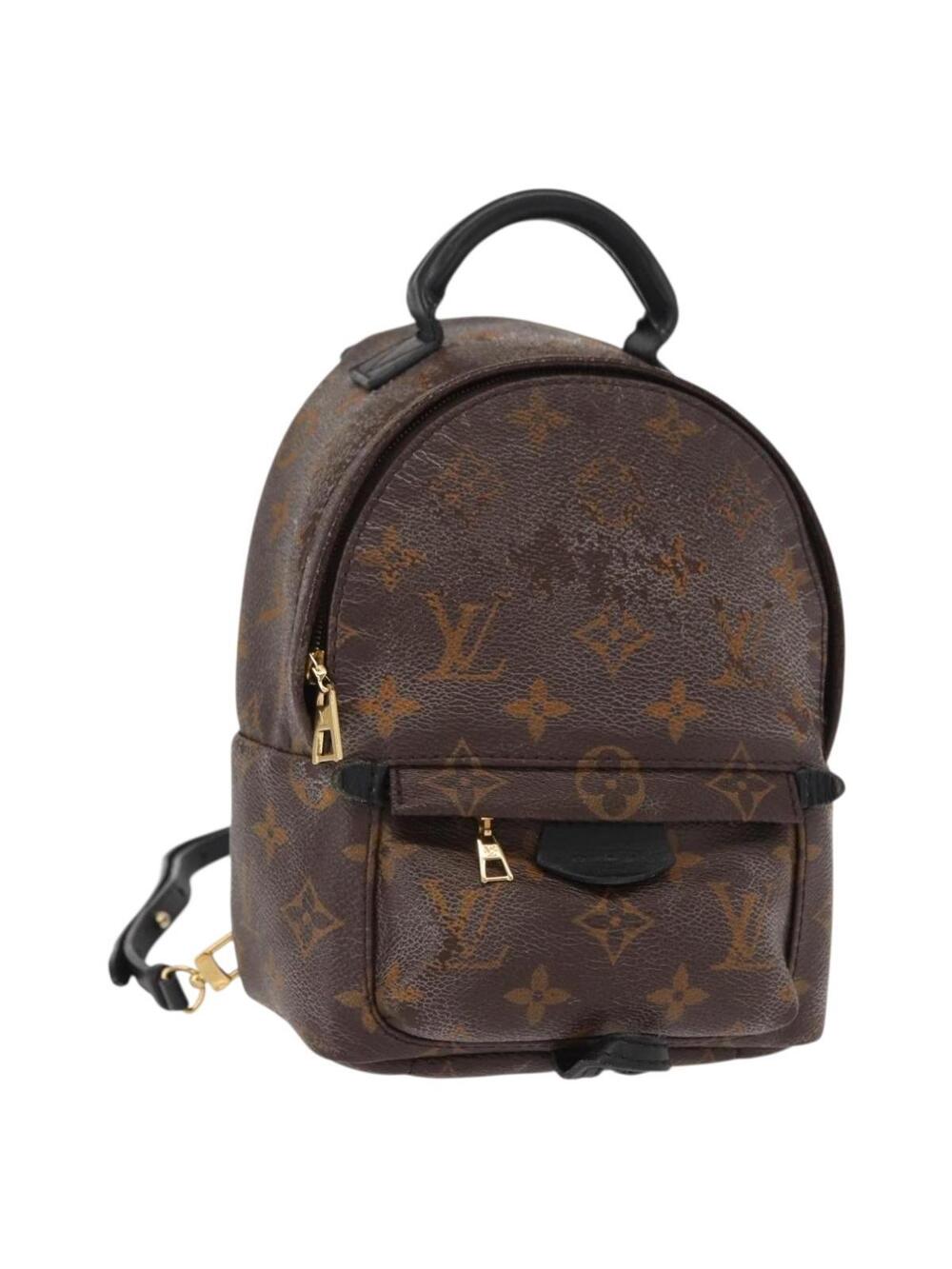 Louis Vuitton Palm Springs Mini #359736L62B